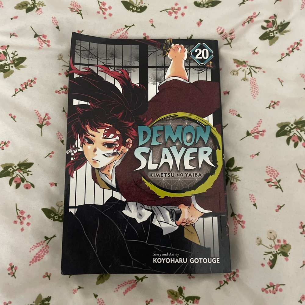 Demon Slayer: Kimetsu no Yaiba Vol. 20 Manga